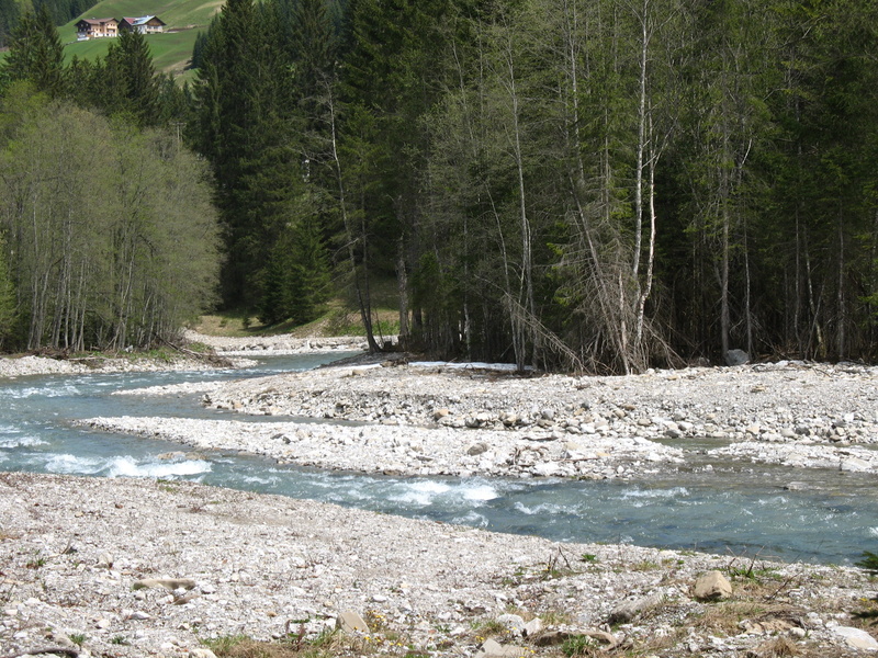 landscape, valley, forest, riverbed, wilderness, nature, non-urban scene, river creek, growth, flowing water, no people, remote, sunlight, land, climb
