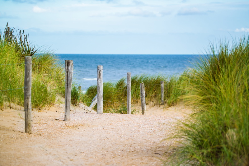 beauty in nature, fence, romance, nature, thin, sky, blue, marram grass, travel, scenics - nature, outdoors, day, wooden post, sand, beach, 5K, five, landscape