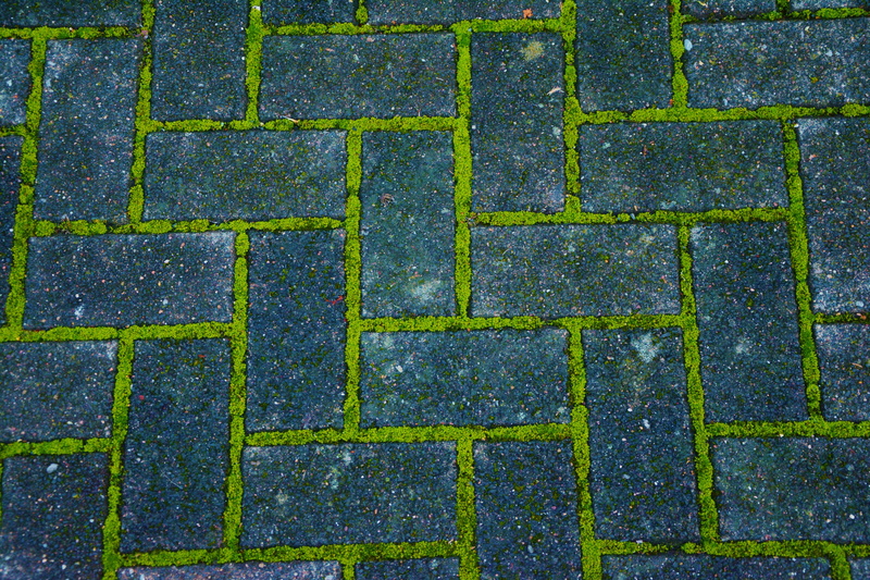 paved, structure, pattern, backgrounds, grey, green, paving stone, tile, stones, geometric shape, paving stones, patch, concrete, flooring, green color