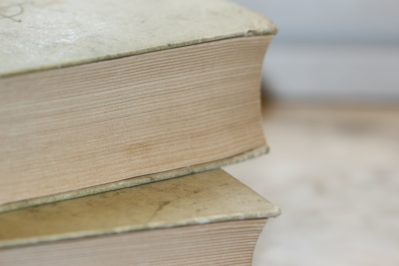 pictures, brown, reading, table, book cover, selective focus, in a row, textured, old books, day, vintage, food, hardbound, wood - material, business, book