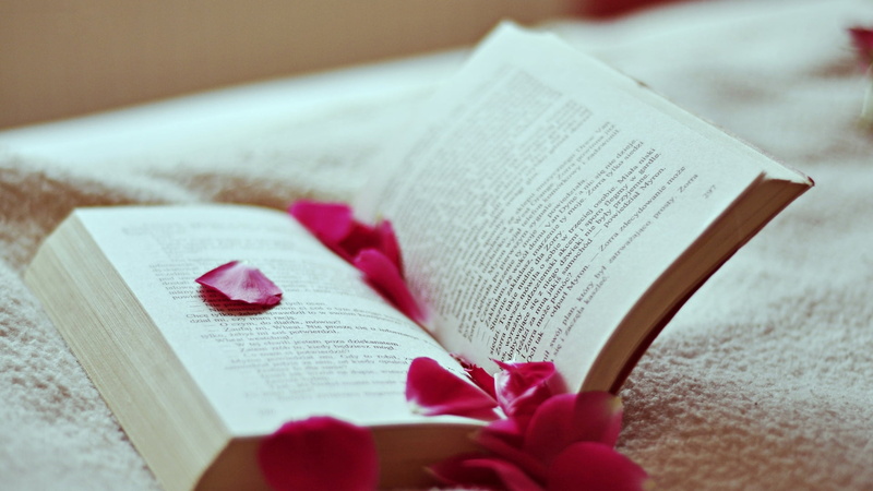 religious Text, spirituality, emotion, plant, religion, christianity, romance, petals, selective focus, 1080P, still life, backgrounds, flowering plant