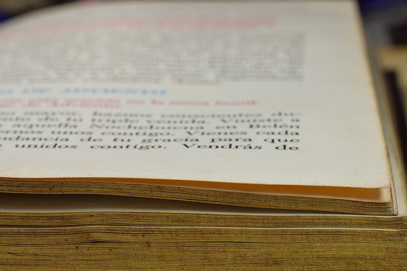 information, novel, no people, non-western script, wisdom, bible, learning, close-up, pages, paper, i am a student, 5K, text, library, open, studying