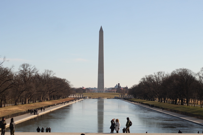 king, memorial, built structure, united states, outdoors, nature, real people, united, architecture, lincoln, 4K, tree, martin, group of people, architectural column
