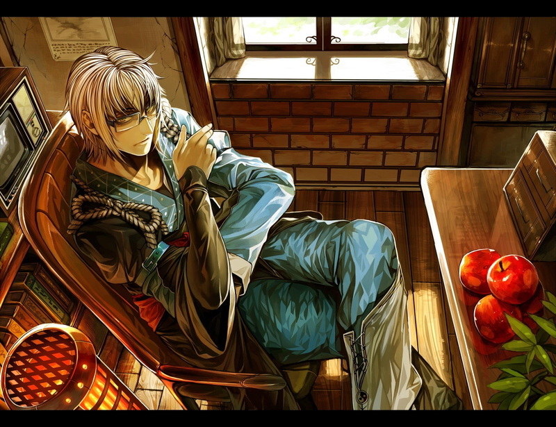 technology, art, hd, 720P, rinnosuke, x, panes, morichika, apples, guy, window, books, tv, apple, Touhou