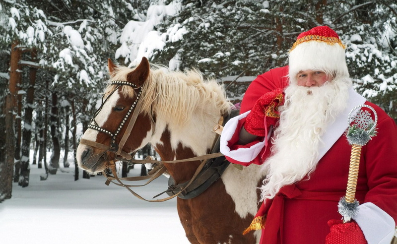 snow, staff, horse, santa claus, forest, new, 1080P, year, claus, santa, new year