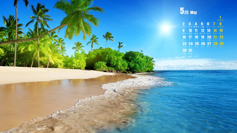 desktop, tree, plant, palm tree, themes, 1080P, may, architecture, nature, calendar, outdoors, tranquil scene, beauty in nature, tropical climate
