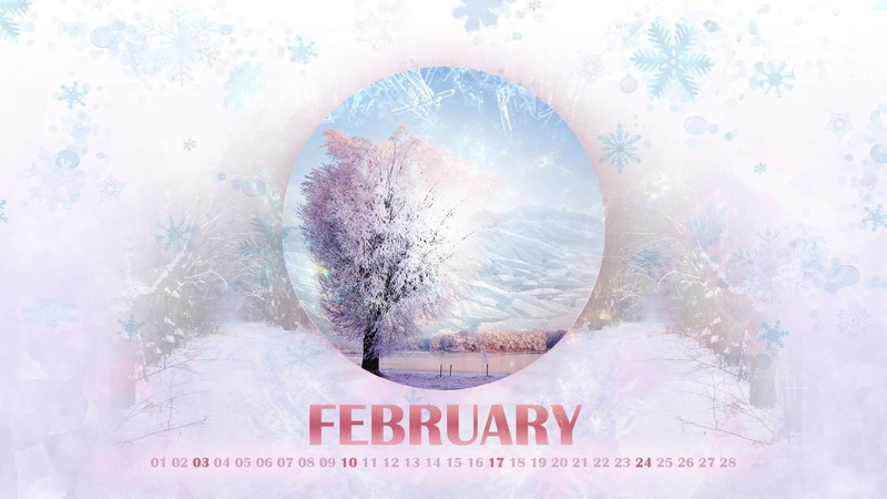 close-up, connection, copy space, wallp, themes, nature, february, desktop, no people, 1080P, western script, text, communication, studio shot, plant