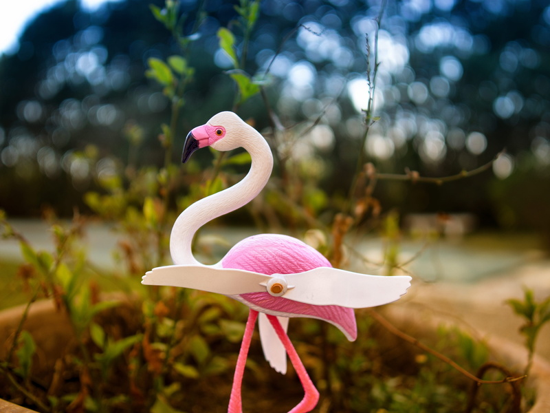france, 4K, garden, animal themes, bird, beak, no people, decor, geranium, close-up, animal wildlife, animal neck, bluebird, flock, flamingo, animal, nature
