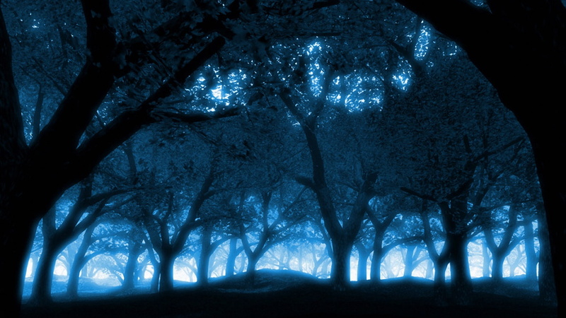 nature, art, hd, blue, done, forest, forests, 1080P