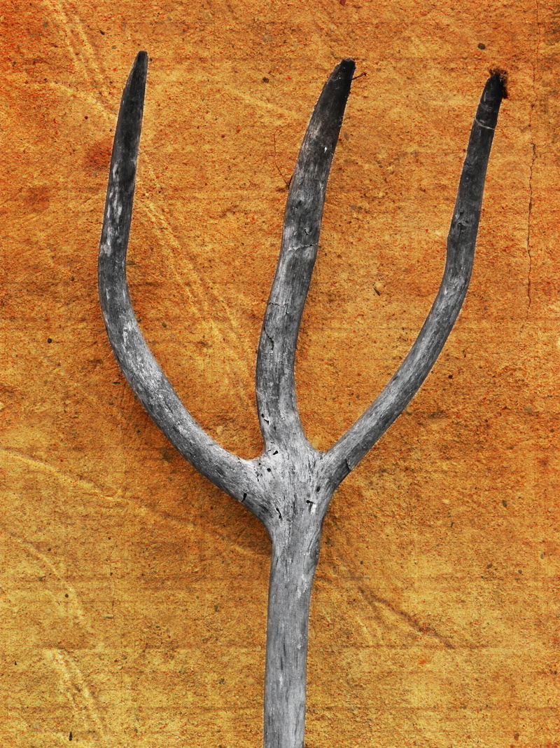 tool, no people, 4K, table, horned, close-up, rusty, directly above, antler, homemade, Rural, still life, day, deer, wood - material, brown, animal themes