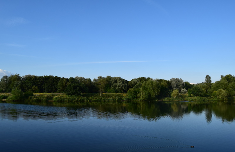 copy space, park, sky, lake, landscape, tranquil scene, nature, forest, green color, lodge lake, day, summer, outdoor, plant, tranquility, blue, clear sky