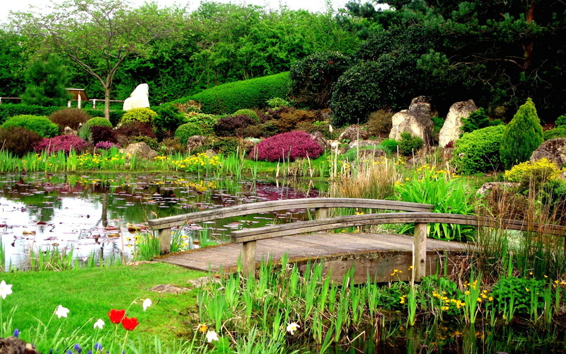 Flower, Water, Milton Keynes, plant, Lake, nature, Bridge, outdoors, grass, no people, United Kingdom, Garden, scenics - nature, England, green color, tree