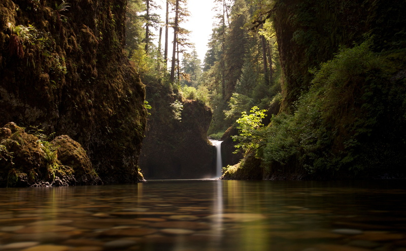 land, punch, Exposure, beauty in nature, water, bowl, Winner, day, no people, explored, flowing, Photography, outdoors, scenics - nature, tranquility, growth