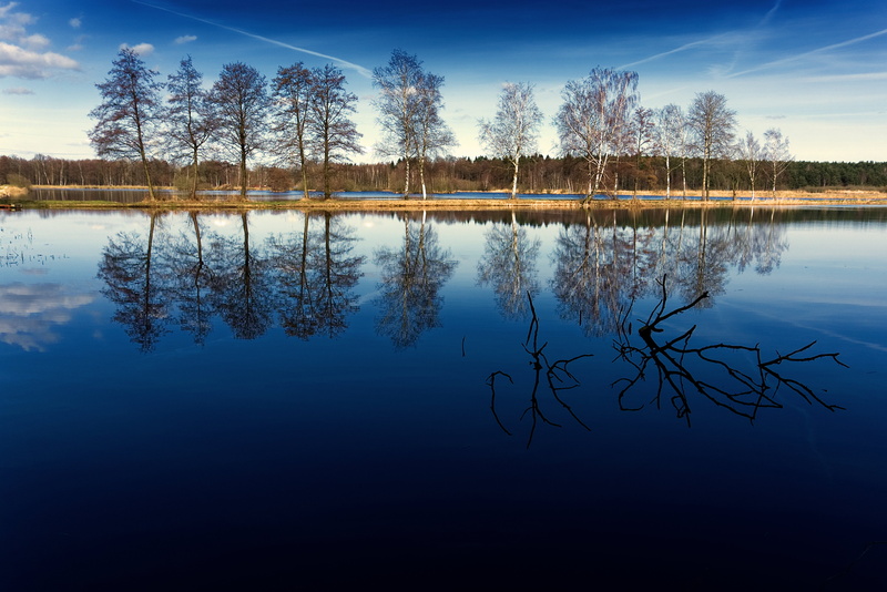 dusk, summer, waterfront, river, nature, symmetry, sunset, 5K, lake, sky, spring, scenics - nature, sea, idyllic, tranquility, plant, outdoors, seashore