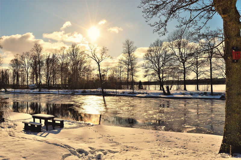 bare tree, plant, travel, near, reflection, body, outdoors, winter, golden hour, bright, water, sunrise, light, park, landscape, lake, 2K, dusk, sky, tranquility