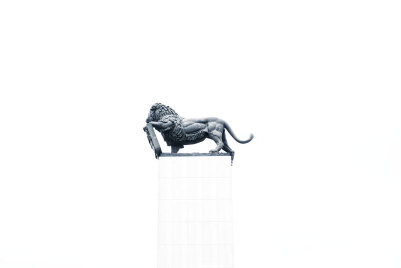 statue, rooftop, animal representation, monochrome, craft, onto, building, piece, mammal, creativity, sky, copy space, lion, clear sky, urban, 4K, knocking