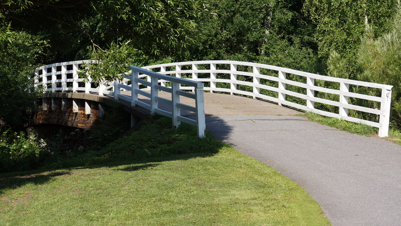 growth, sunlight, grass, footpath, park, transportation, 4K, white bridge, land vehicle, road, no people, outdoors, shadow, day, nature, land, built structure