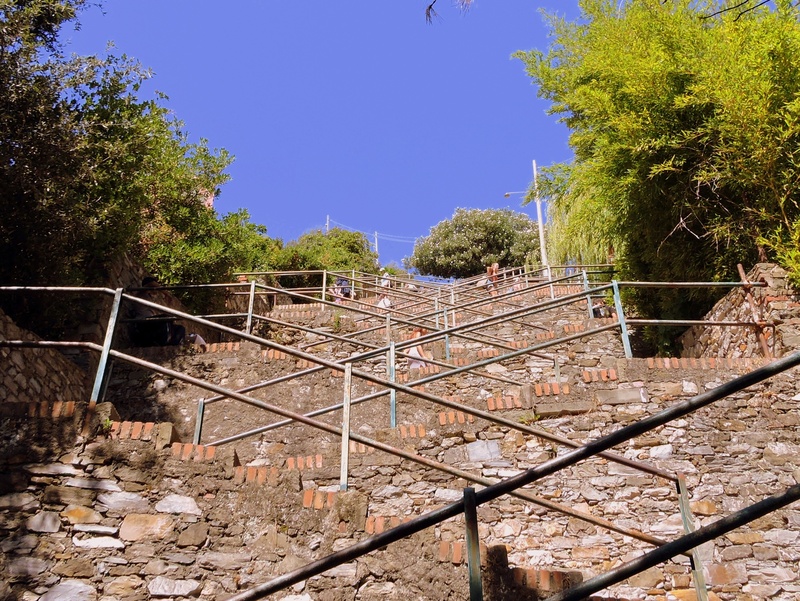 security, staircase, plant, railing, sunlight, blue, outdoors, parapet, ascent, built structure, metal, fence, stairs, 2K, day, wall, barrier, clear sky