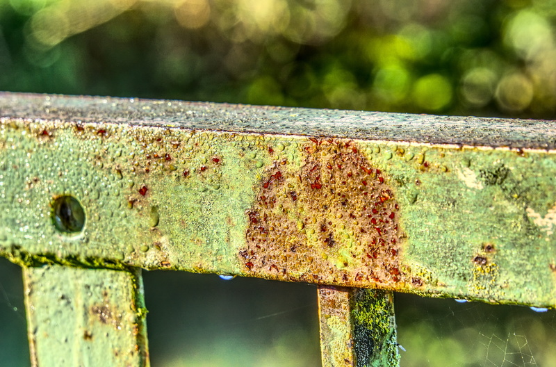 iron, day, railing, water, structure, plant, parapet, nature, steel, high dynamic range, hdr, wood - material, metal, abandoned, rust, old, no people, textured