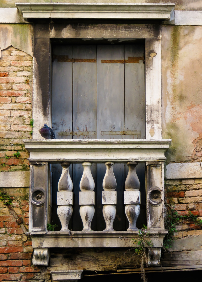 terrace, close-up, old, wall, abandoned, building, brick, pigeon, wall - building feature, lapsed, building exterior, balcony balustrade, 5K, glass - material