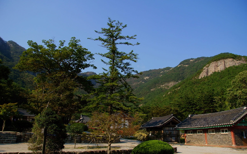 building exterior, architecture, nature, sky, scenics - nature, klitschko, city, day, mountain, outdoors, whether or not, 1080P, plant, roof, tree, building