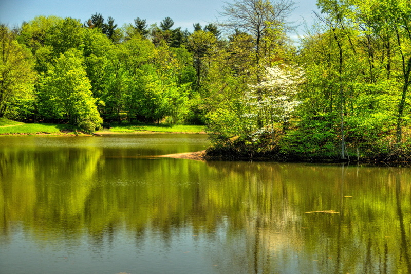 reflection, leaf, USA, landscape, season, land, day, idyllic, tranquility, outdoors, green, blue, 1080P, no People, leafed, beauty In Nature, water, Randall Ohio