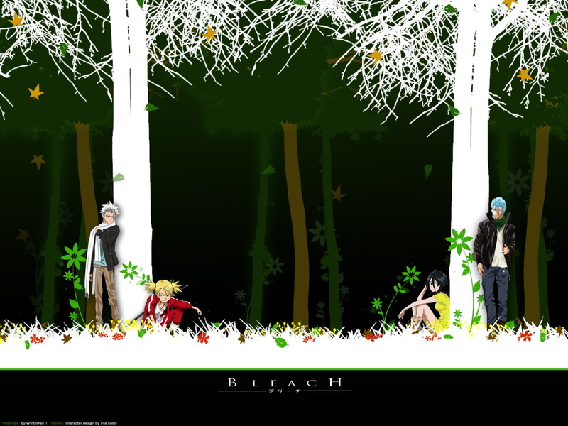 Tōshirō Hitsugaya, Bleach, Grimmjow Jaegerjaquez, Hiyori Sarugaki, Rukia Kuchiki, 720P