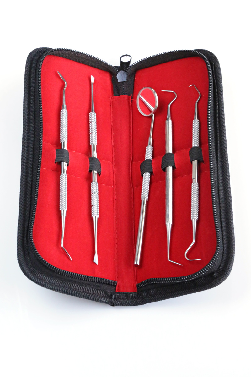 steel, alloy, tray, cut out, high angle view, pliers, tools, metal, set, no people, table, white background, dentist, leather, dentistry, single object