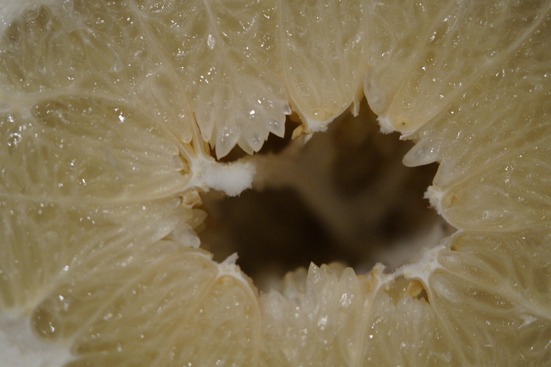 drop, nature, extreme close-up, healthy Eating, freshness, natural pattern, organic, pattern, citrus Fruit, inner, 5K, macro, close, water, ripe, food