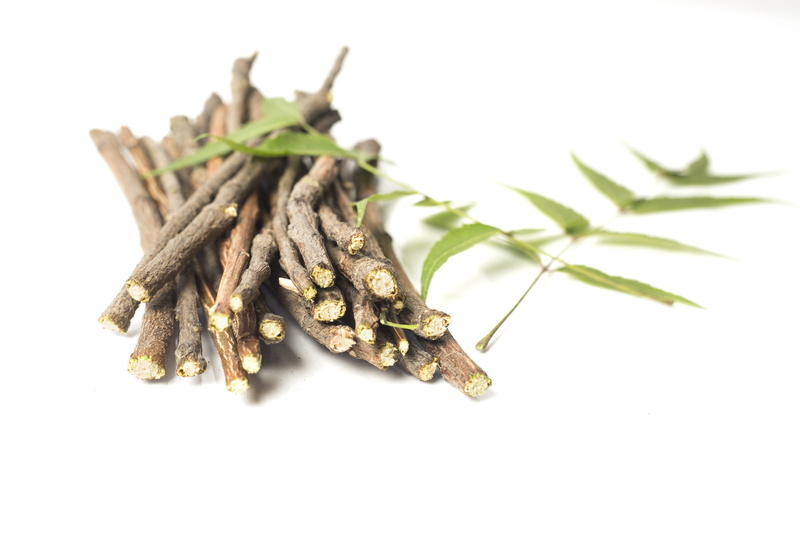 herbal, freshness, no people, natural, branch, herb, green color, sticks, nature, stem, organic, food and drink, indoors, chew, wood, dental, healthy eating
