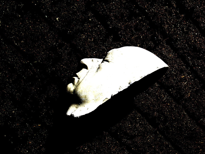 nature, close-up, sculpture, animal wildlife, beauty in nature, sunlight, head, day, solid, abandoned, animal, single object, outdoors, white color, face