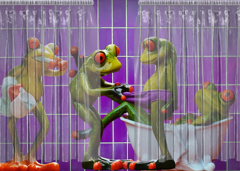 multi colored, curious, indoors, frog, swim, variation, retail, 1080P, representation, fun, art and craft, human representation, cage, wash, no people