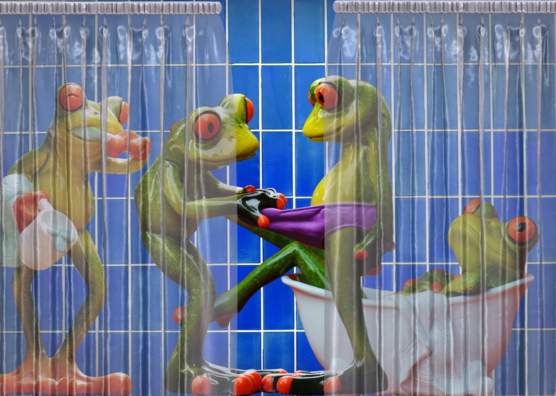curious, animal representation, multi colored, bird, frogs, cute, funny, animal themes, sweet, business, bathroom, fun, birdcage, parrot, cage, wash, no people