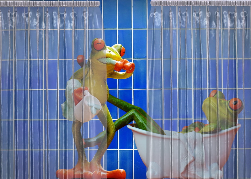 brushing teeth, multi colored, 1080P, effort, sweet, representation, swim, indoors, cute, human representation, frogs, sport, business, blue, nature, funny