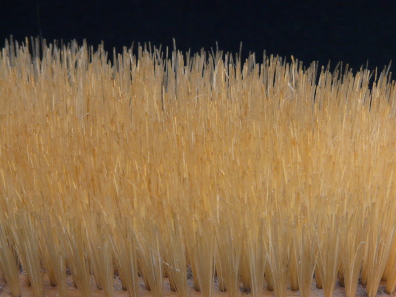 no people, outdoors, abundance, macro, Dresses, brush head, cereal Plant, beauty in nature, plant, agriculture, pattern, close, science, large group of objects