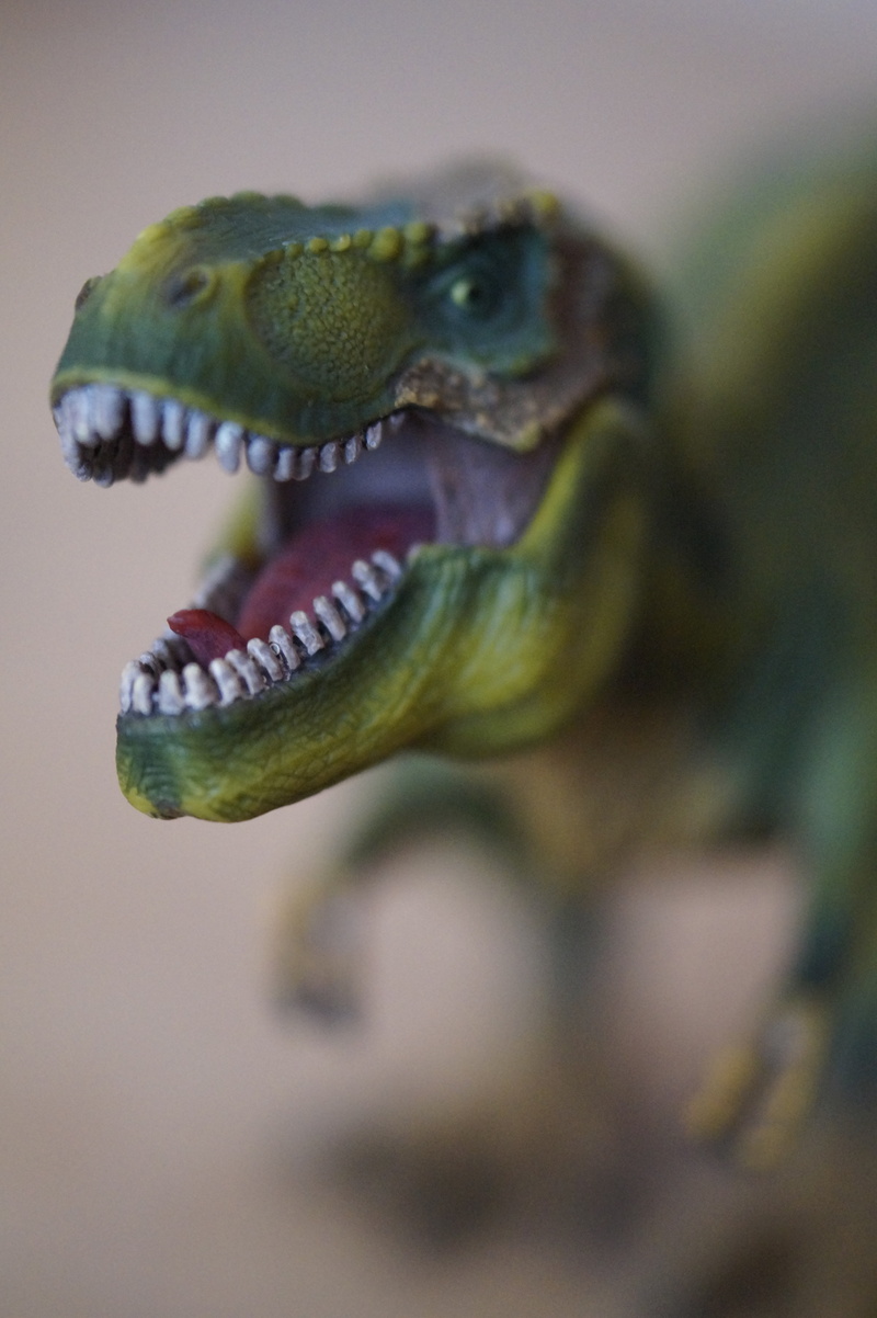 animal body part, t rex, animal wildlife, foot, dangerous, bite, 5K, children, focus on foreground, anger, animal head, schleichtier, animals in the wild