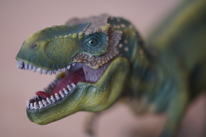 dino, animal, animal teeth, lizard, predator, representation, eat, toy, carnivores, prehistoric times, no people, children, tooth, giant lizard, mouth open