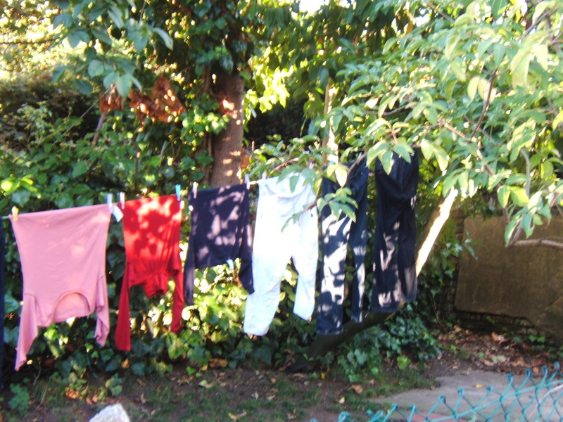 washing, 1080P, tree, clothes, 3d and abstract, line, nature