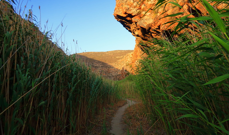 the way forward, montagu mountain local nature reserve, mountain, tranquility, footpath, non-urban scene, growth, sky, no people, montagu, scenics - nature