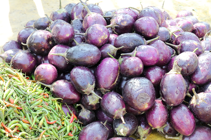 ripe, eggplant, vegetable, close-up, 5K, organic, healthy eating, for sale, aubergine, cooking, indian, market, culinary, day, cuisine, fruit, agriculture