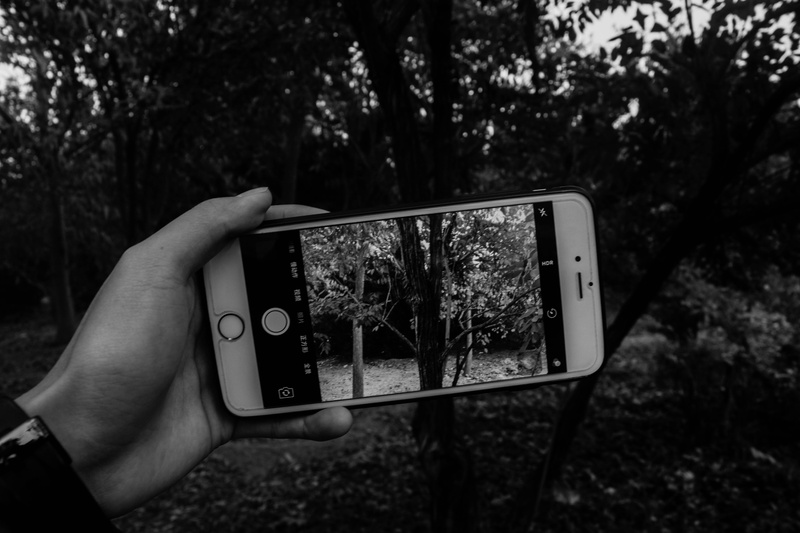 screen, smart phone, mobile phone, outdoors, technology, black, plant, Black And White, park - Man Made Space, communication, people, phone, human hand