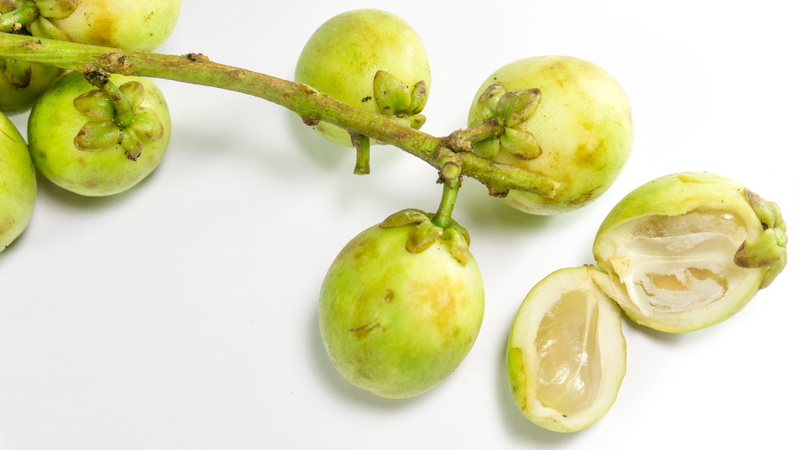 Langsat, healthy eating, nutrition, no people, Fruit, sweet, cut out, color, lansones, food and drink, healthy, 5K, agriculture, closeup, sour, Duku, health