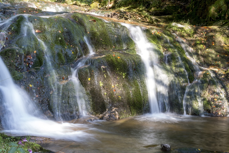 summer, environment, scenics - nature, plant, flowing water, land, beauty in nature, forest, purity, source, splashing, long exposure, rock, nature, blurred motion