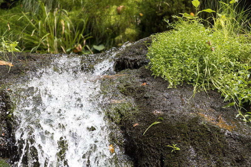flowing water, falling water, beauty in nature, outdoors, tree, growth, river, green color, rest, nature, solid, source, forest, local recreation, waterfall