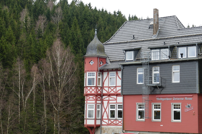 forest, migratory restaurant, window, place of worship, built structure, the past, 5K, local, travel destinations, building exterior, red, building, plant