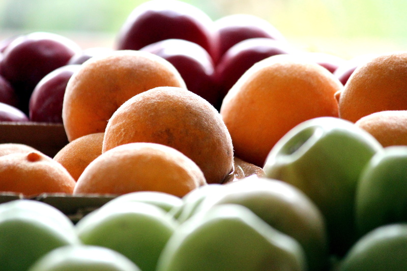 close-up, fruit, apple, multi colored, wellbeing, eat, plums, fruit stand, large group of objects, in a row, ripe, day, selective focus, healthy eating