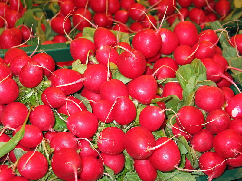 full frame, wellbeing, sharp, radishes, frisch, close-up, market, fruit, retail, still life, vegetable, raw, vitamins, 1080P, eat, nature, edible, garden