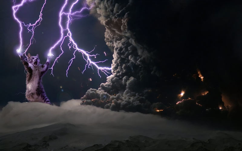 2K, cat throw lightning from paws, cats, lightning