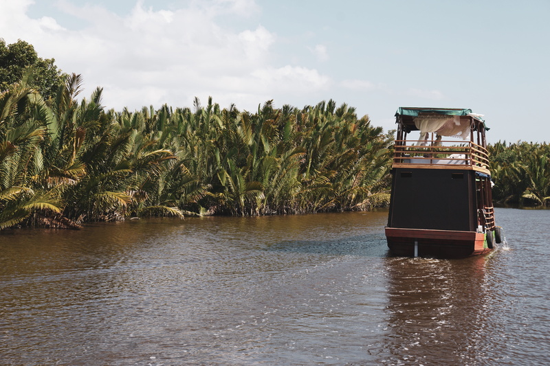 flora, nautical vessel, river, tranquility, boat, outdoors, mode of transportation, arecaceae, forest, background, shipping container, day, growth, nature