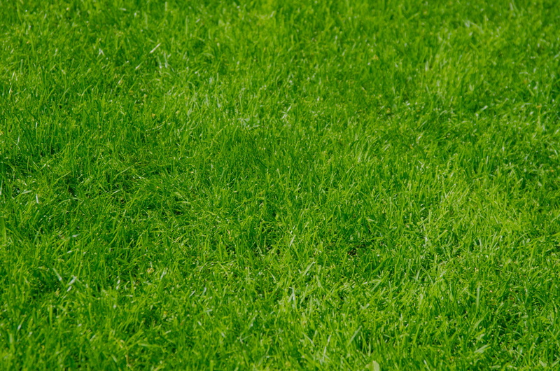 backgrounds, land, full frame, pattern, sport, grass, green color, no people, outdoors, garden, turf, environment, 4K, green, freshness, plant, field